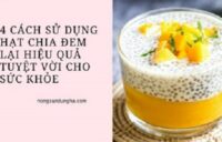 su dung hat chia
