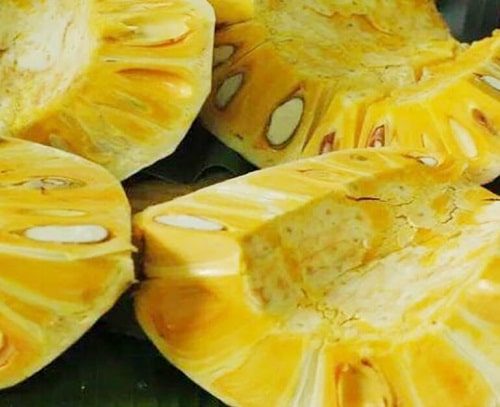 Mít thái dai giòn, múi vàng ươm