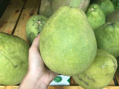 Bưởi năm roi ngon ngọt, vừa nước tại Dũng Hà