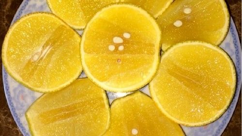 Cam xoàn ngọt mát, mọng nước