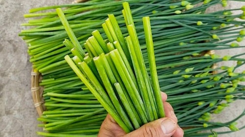 tác dụng của bông hẹ