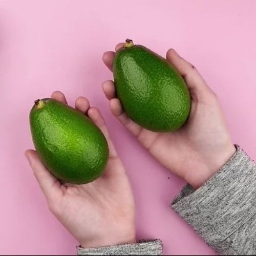 cách bảo quản bơ chín