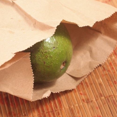cách bảo quản bơ chín