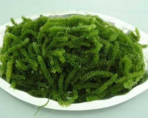 thực phẩm giàu khoáng chất