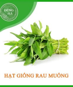 Hat-giong-rau-muong-50g-1.jpg