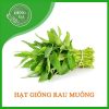 Hat-giong-rau-muong-50g-1.jpg