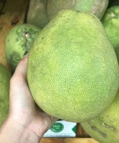 bưởi năm roi